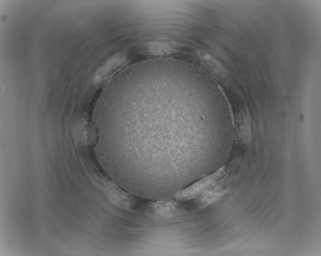 X0000076390762200610161140