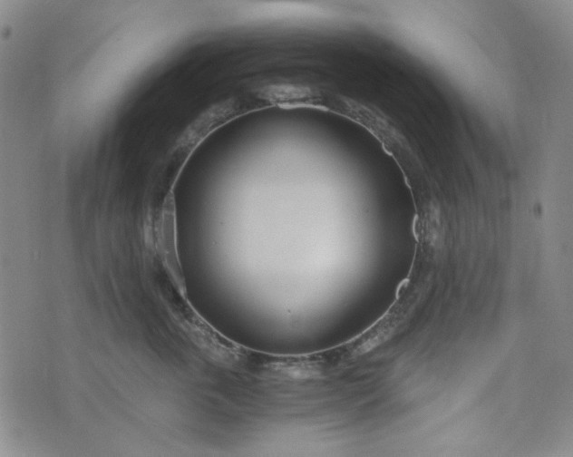 X0000076390763200610161140