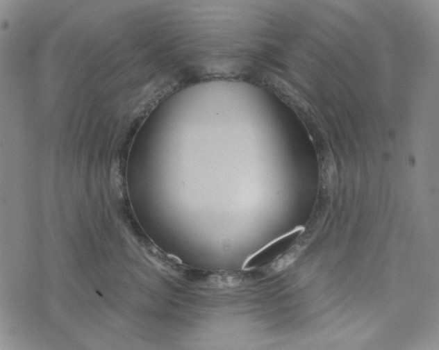 X0000076390764200610161140