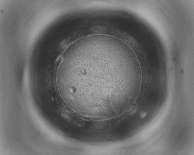 X0000076390765200610161140