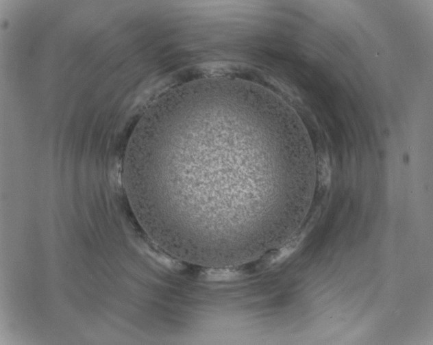 X0000076390766200610161140