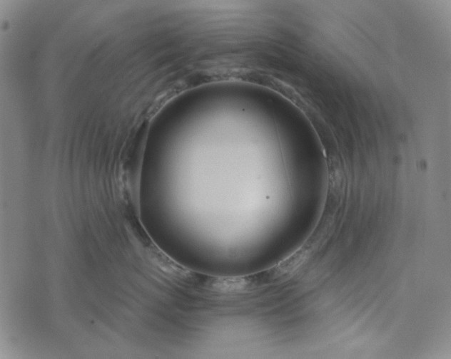 X0000076390767200610161140