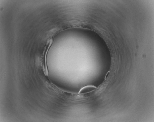 X0000076390768200610161140