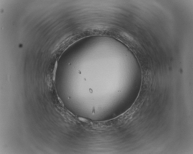 X0000076390774200610161139