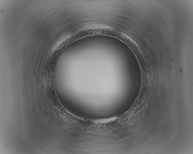 X0000076390775200610161139