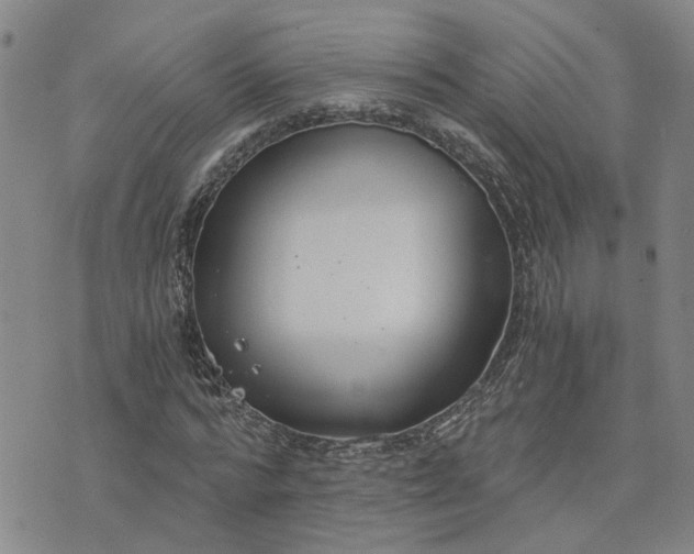 X0000076390776200610161139