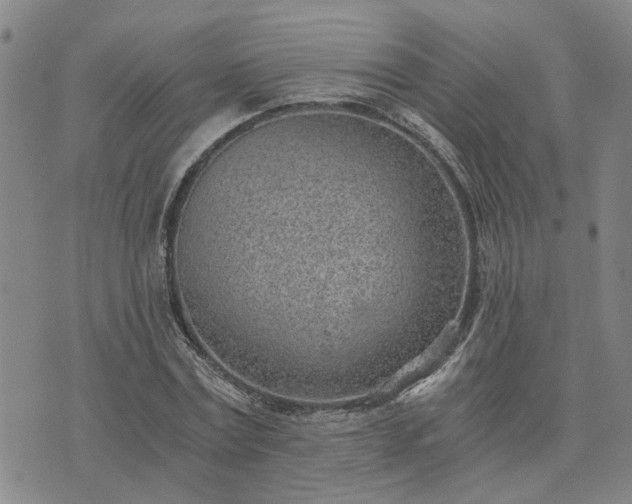 X0000076390779200610161139