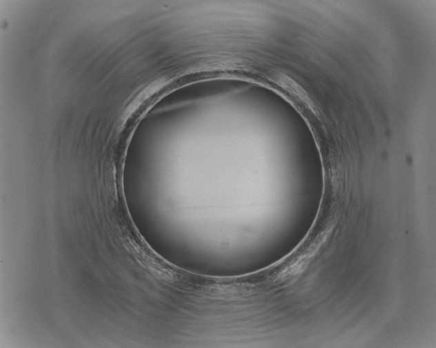 X0000076390781200610161139