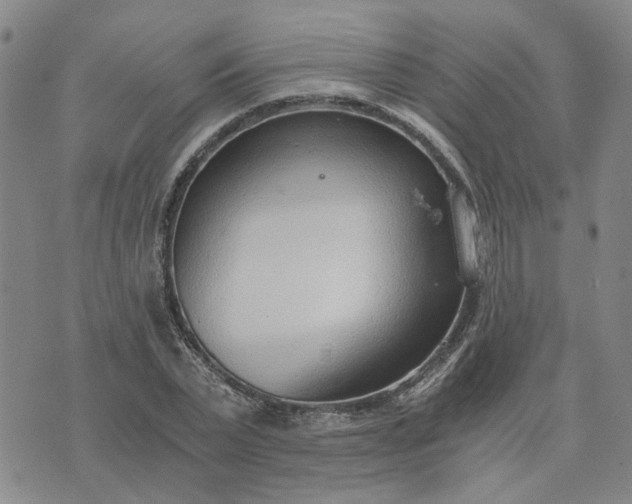 X0000076390783200610161139