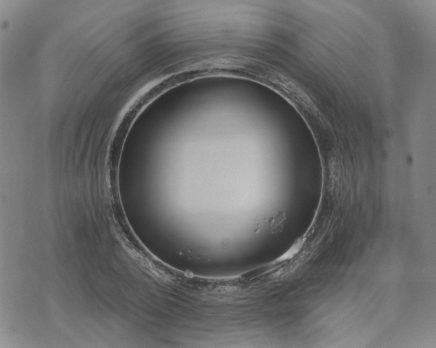 X0000076390784200610161139