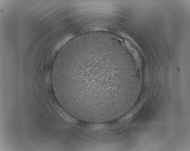 X0000076390785200610161139