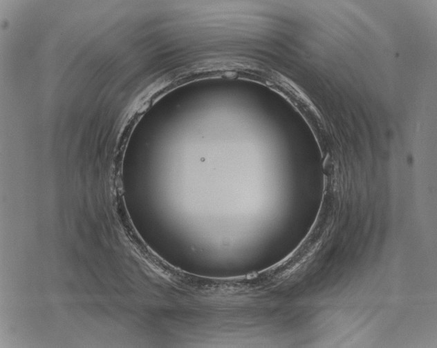 X0000076390786200610161139