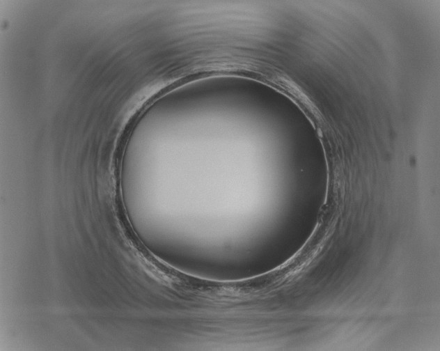 X0000076390787200610161139