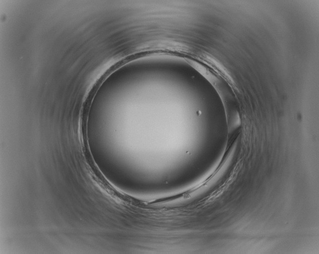 X0000076390788200610161139