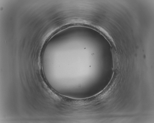 X0000076390791200610161139