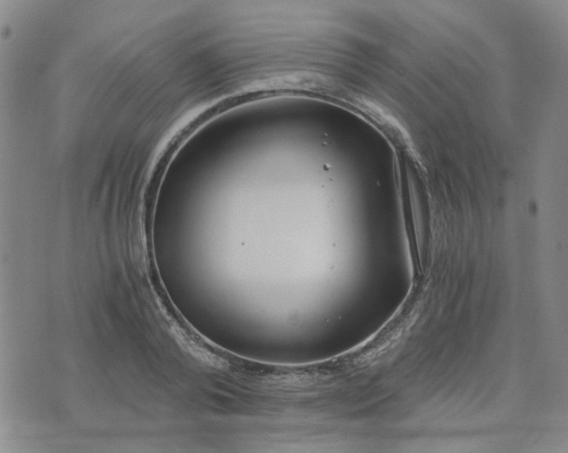 X0000076390792200610161139