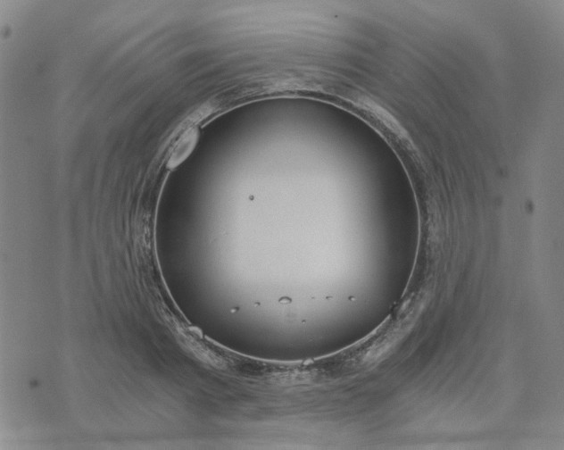 X0000076390793200610161139