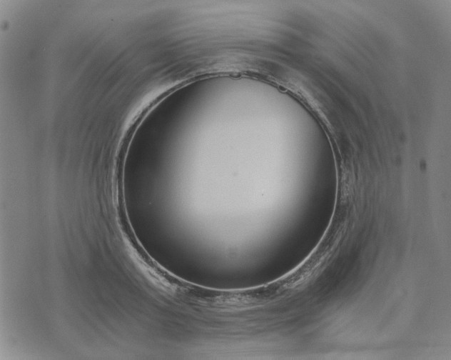 X0000076390795200610161139