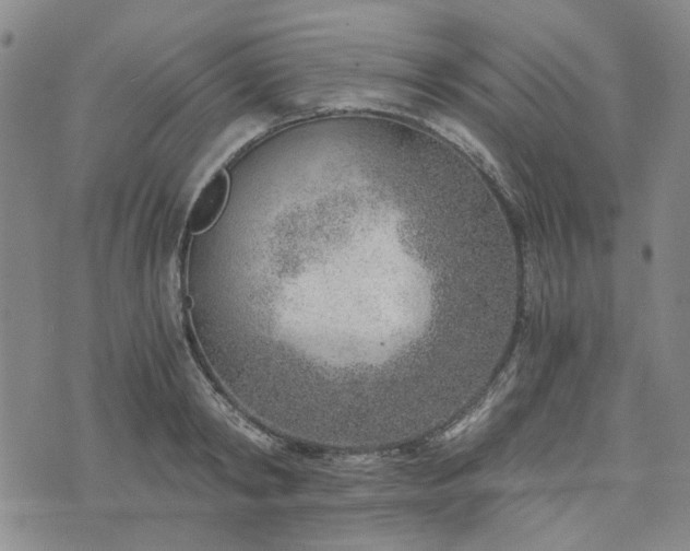 X0000076390798200610161139