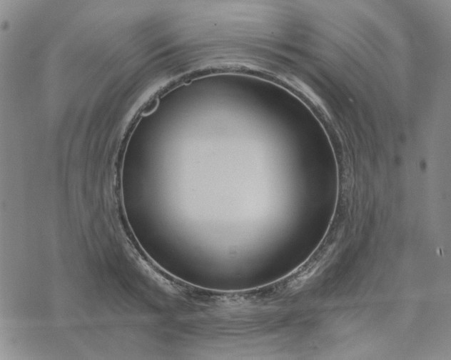 X0000076390799200610161139