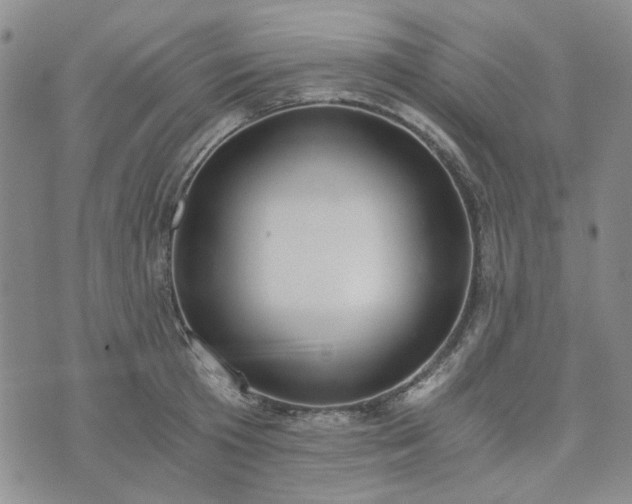 X0000076390801200610161139