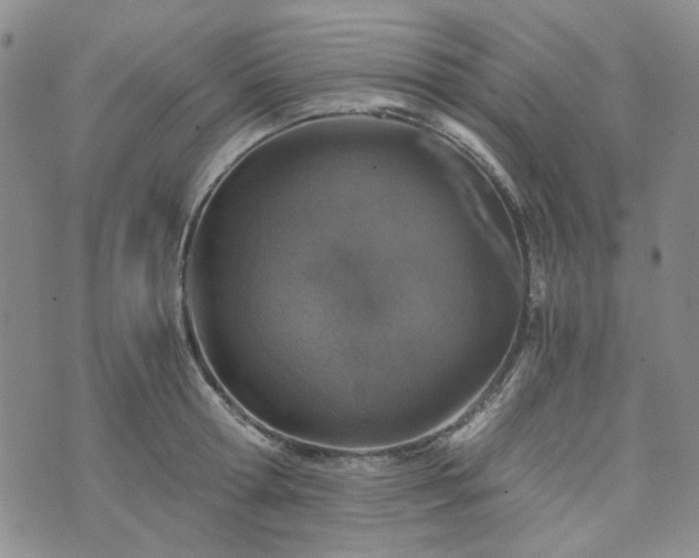 X0000076390802200610161139