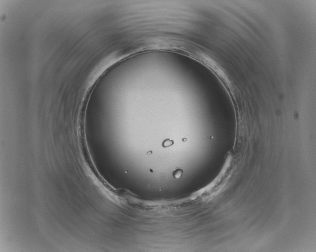 X0000076390803200610161139