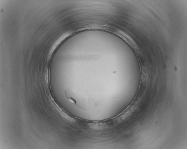 X0000076390804200610161139