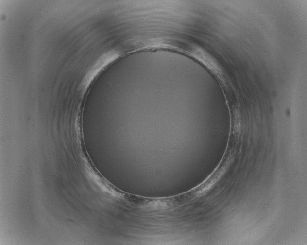 X0000076390806200610161139