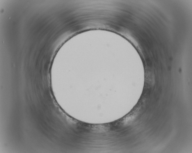 X0000076390807200610161139