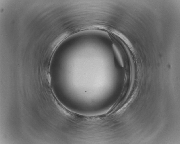 X0000076390809200610161139