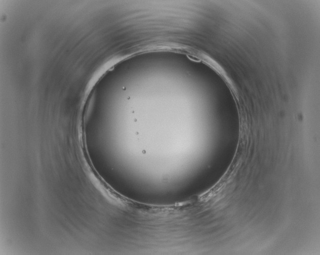 X0000076390811200610161139