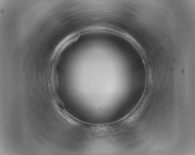 X0000076390862200610161138