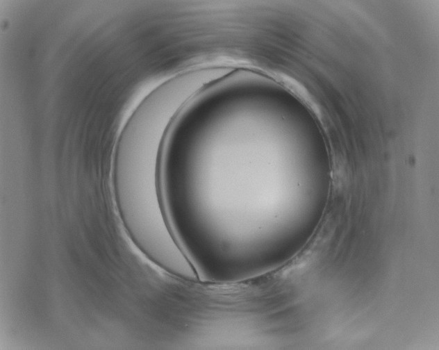 X0000076390863200610161138