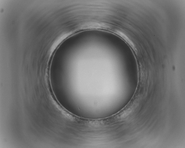 X0000076390901200610161137