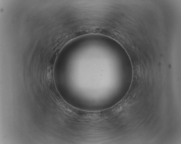 X0000076390914200610161136