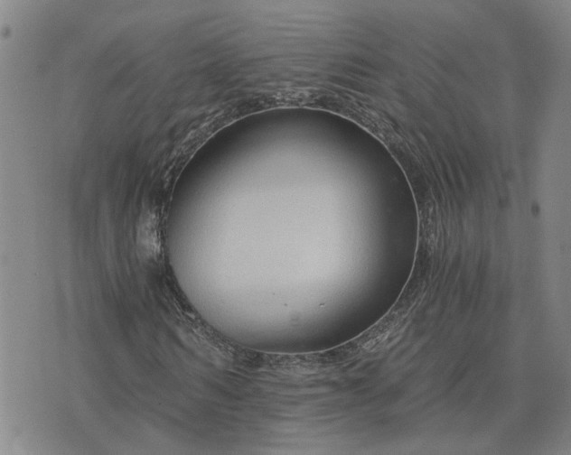 X0000076390962200610161136