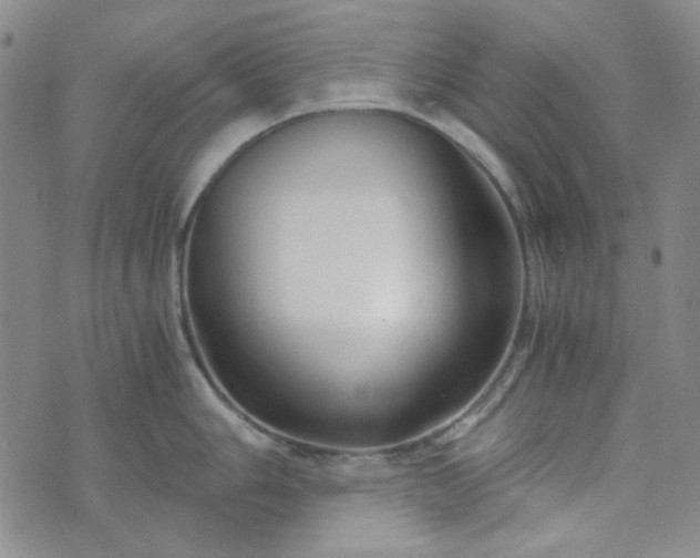 X0000076391006200610161135