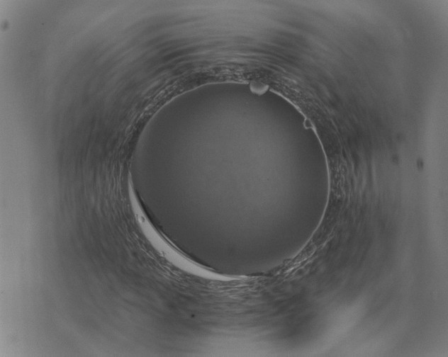 X0000076391013200610161135