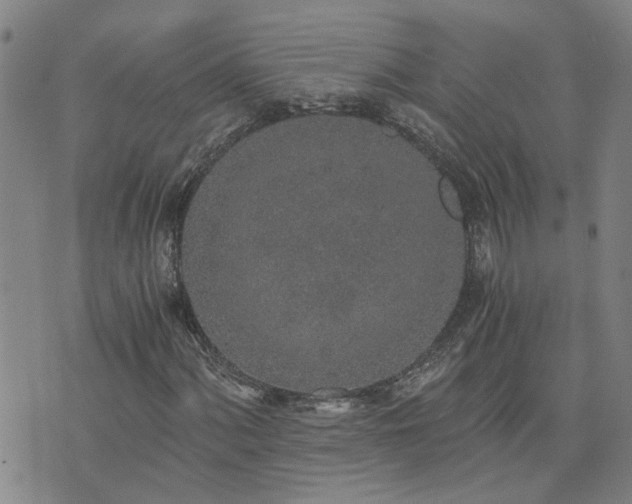 X0000076391060200610161134