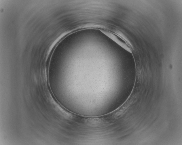X0000076391092200610161134