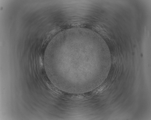 X0000076391106200610161133