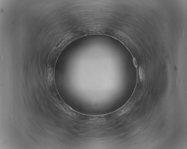 X0000076391107200610161133