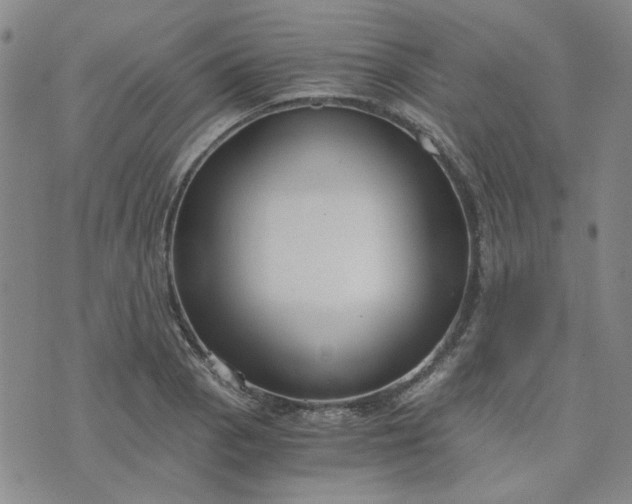 X0000076391129200610161133