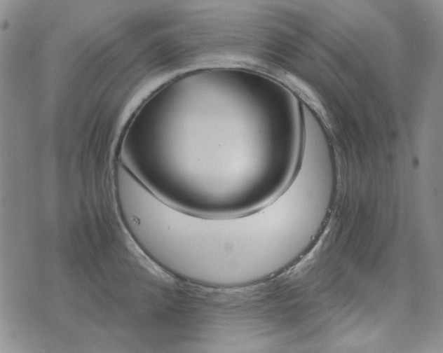 X0000076391192200610161132