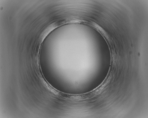 X0000076391194200610161132