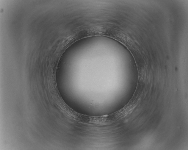 X0000076391201200610161131