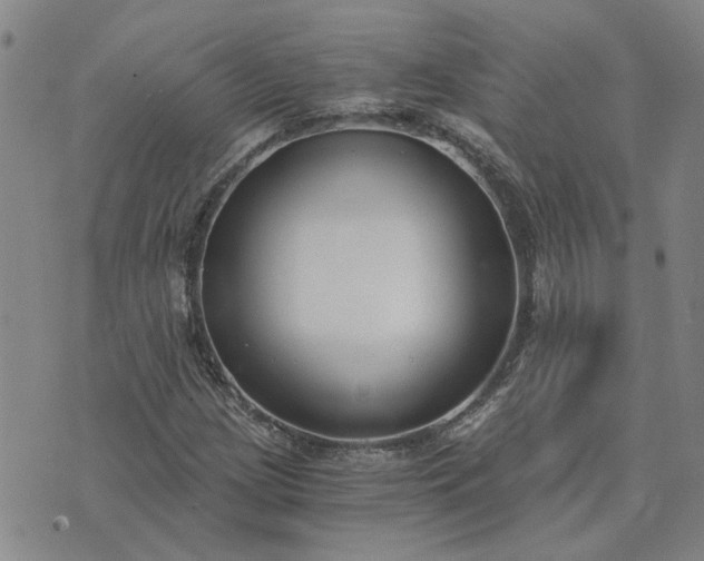 X0000076391209200610161132