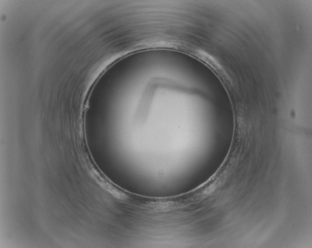 X0000076391236200610161132