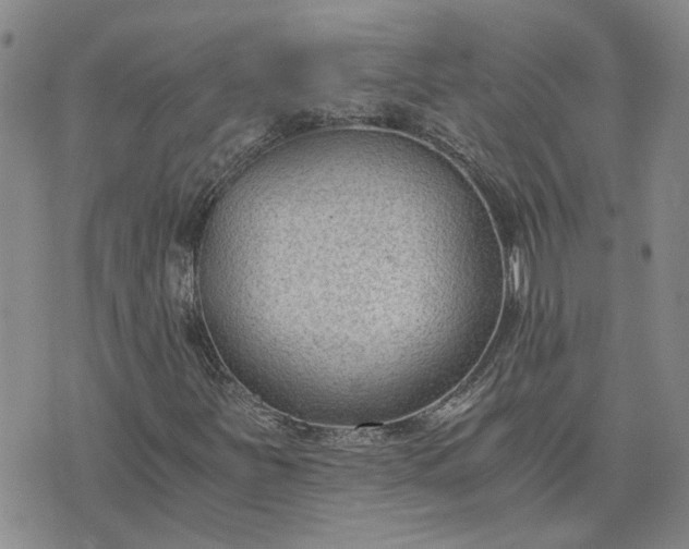 X0000076391251200610161131